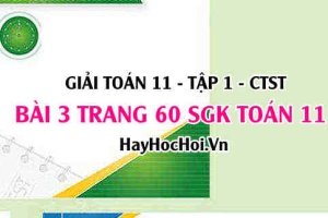 Giải bài 3 trang 60 Toán 11 tập 1 SGK Chân trời sáng tạo